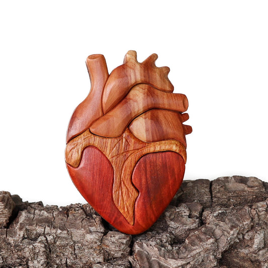 Anatomical Heart Wood Carved Intarsia Ornament / Magnet