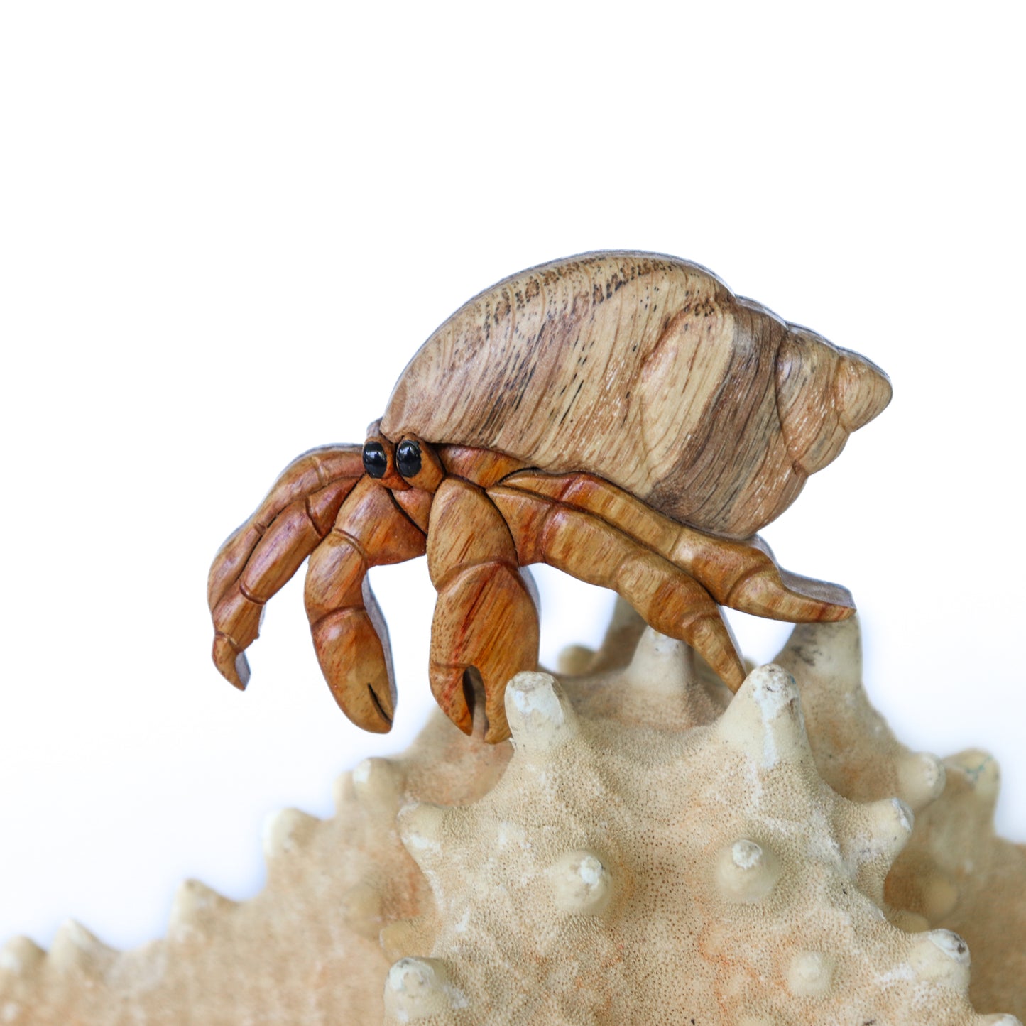 Hermit Crab Wood Carved Intarsia Ornament / Magnet