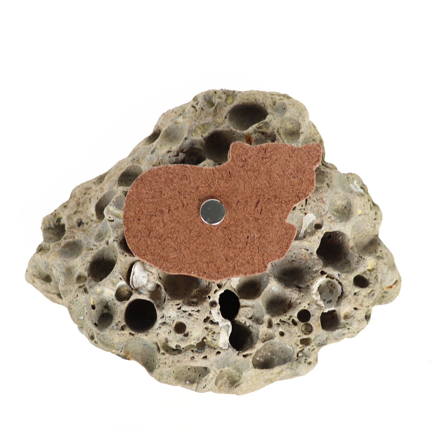 Red Panda Wood Carved Intarsia Ornament / Magnet