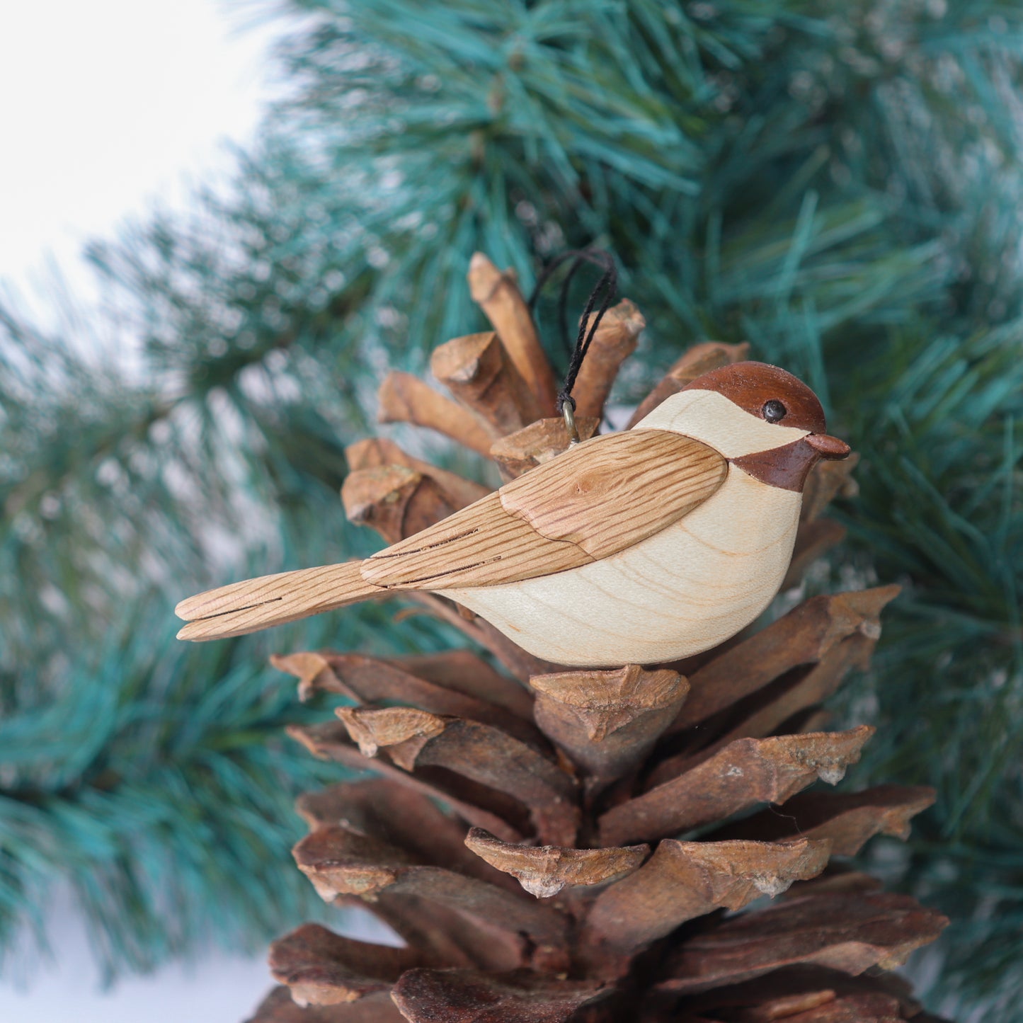 Carolina Chickadee Wood Carved Intarsia Ornament / Magnet