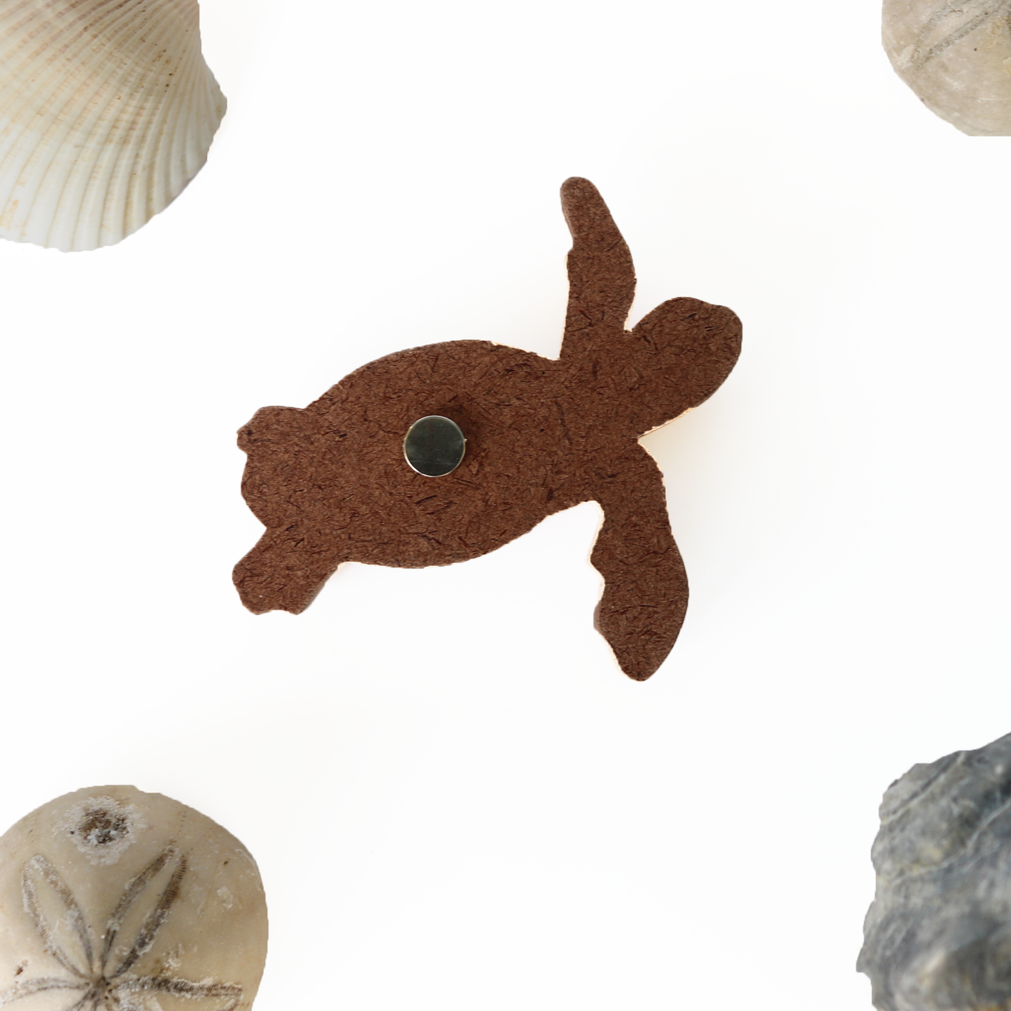 Sea Turtle Wood Carved Intarsia Ornament / Magnet