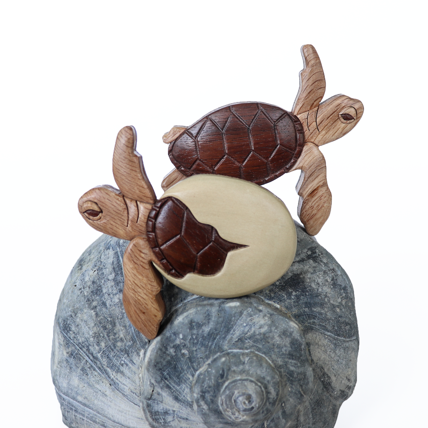 Sea Turtle Wood Carved Intarsia Ornament / Magnet