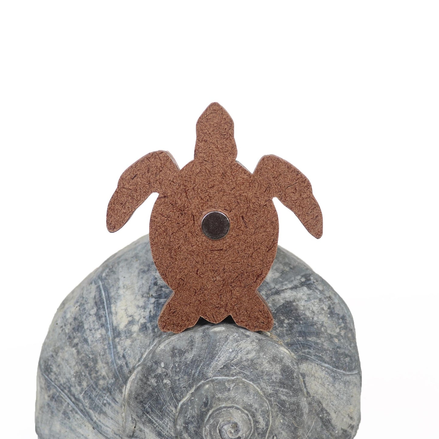 Sea Turtle (Bird's eye view) Wood Carved Intarsia Ornament / Magnet