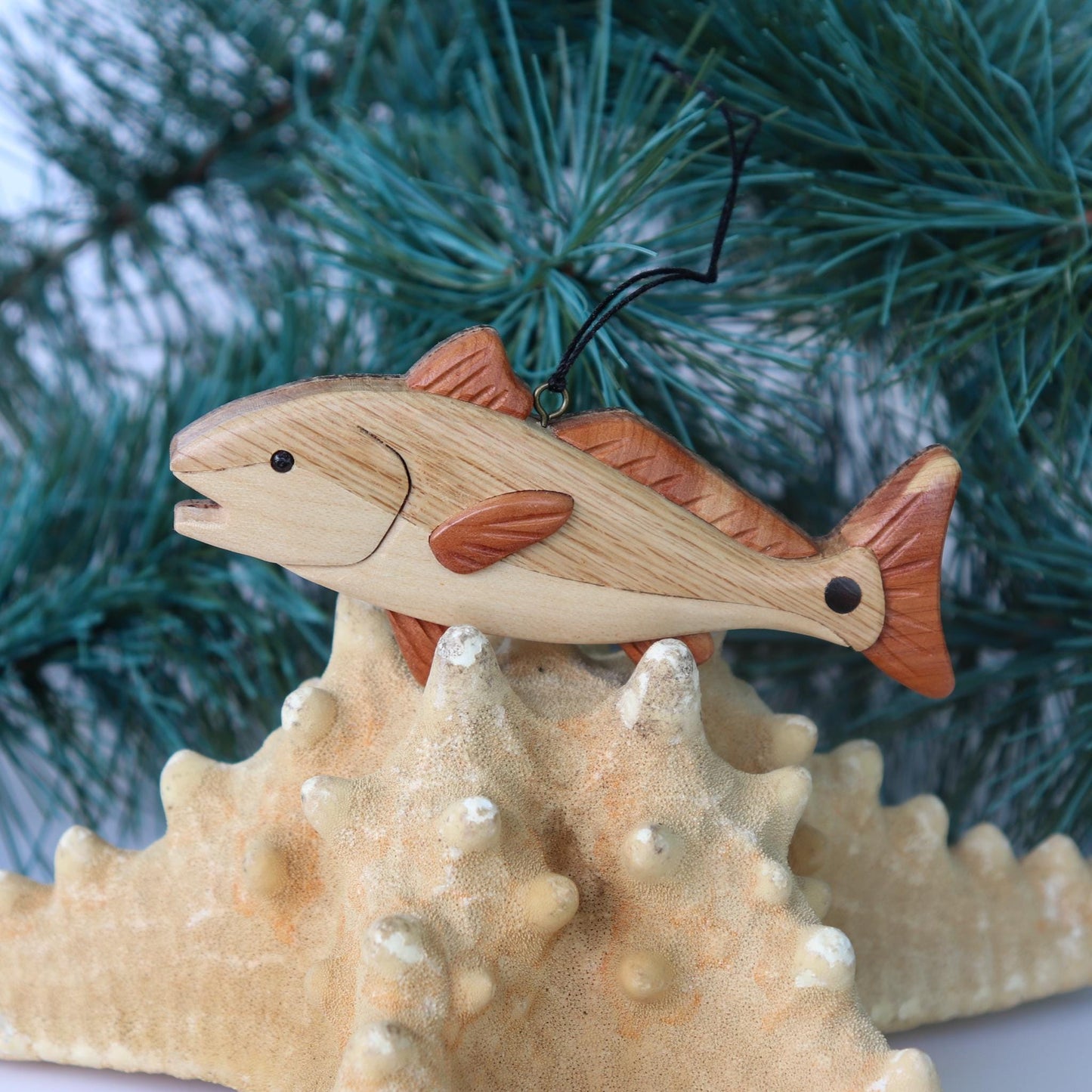 Red Drum Fish Wood Carved Intarsia Ornament / Magnet