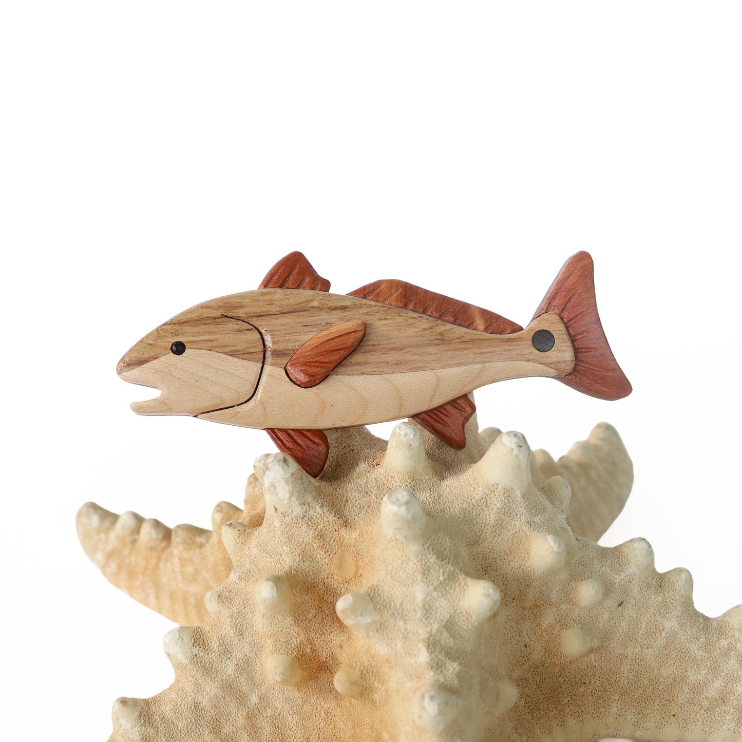 Red Drum Fish Wood Carved Intarsia Ornament / Magnet