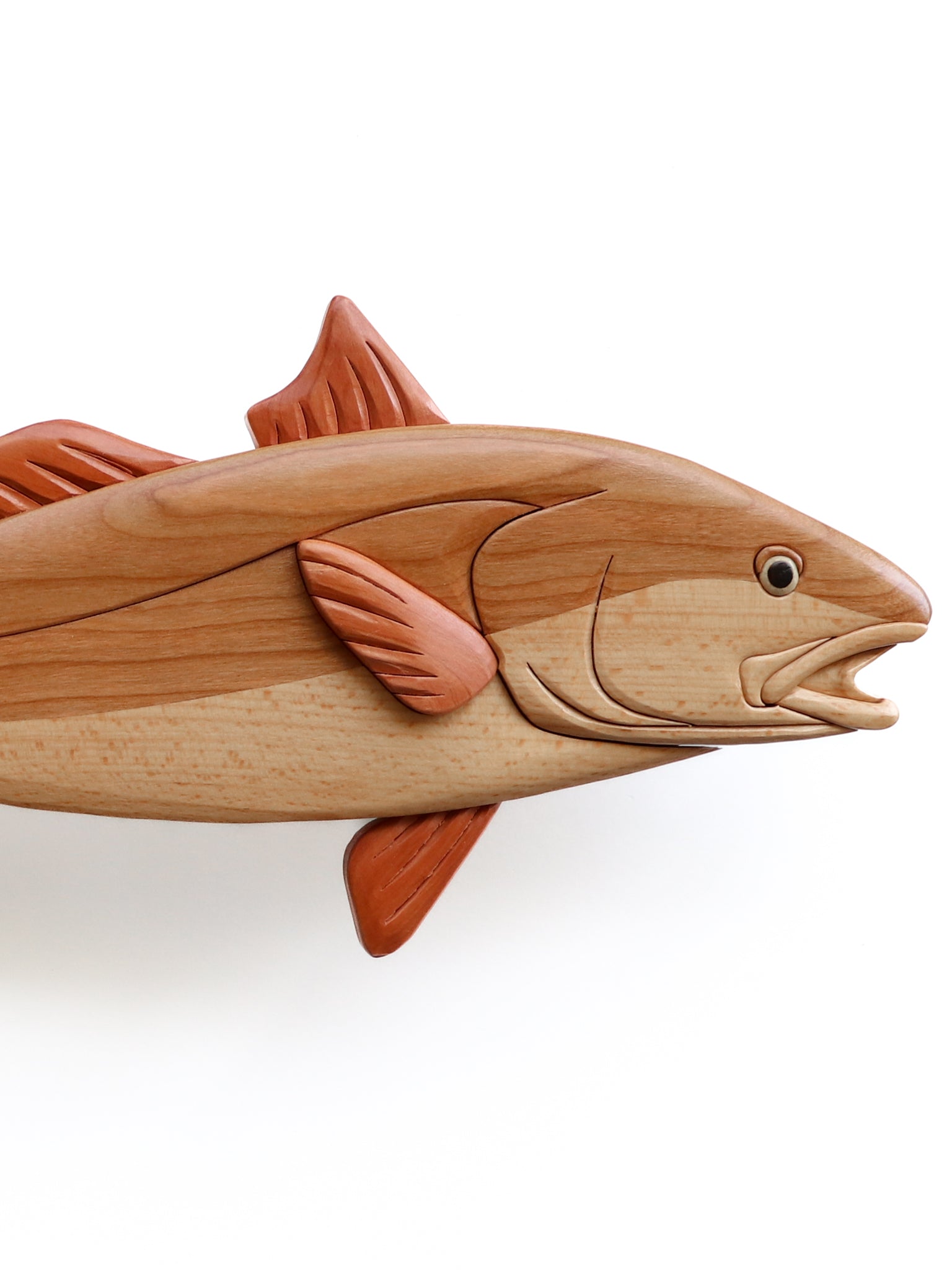 Red Drum Fish Wall Hanging – Entwood Crafts