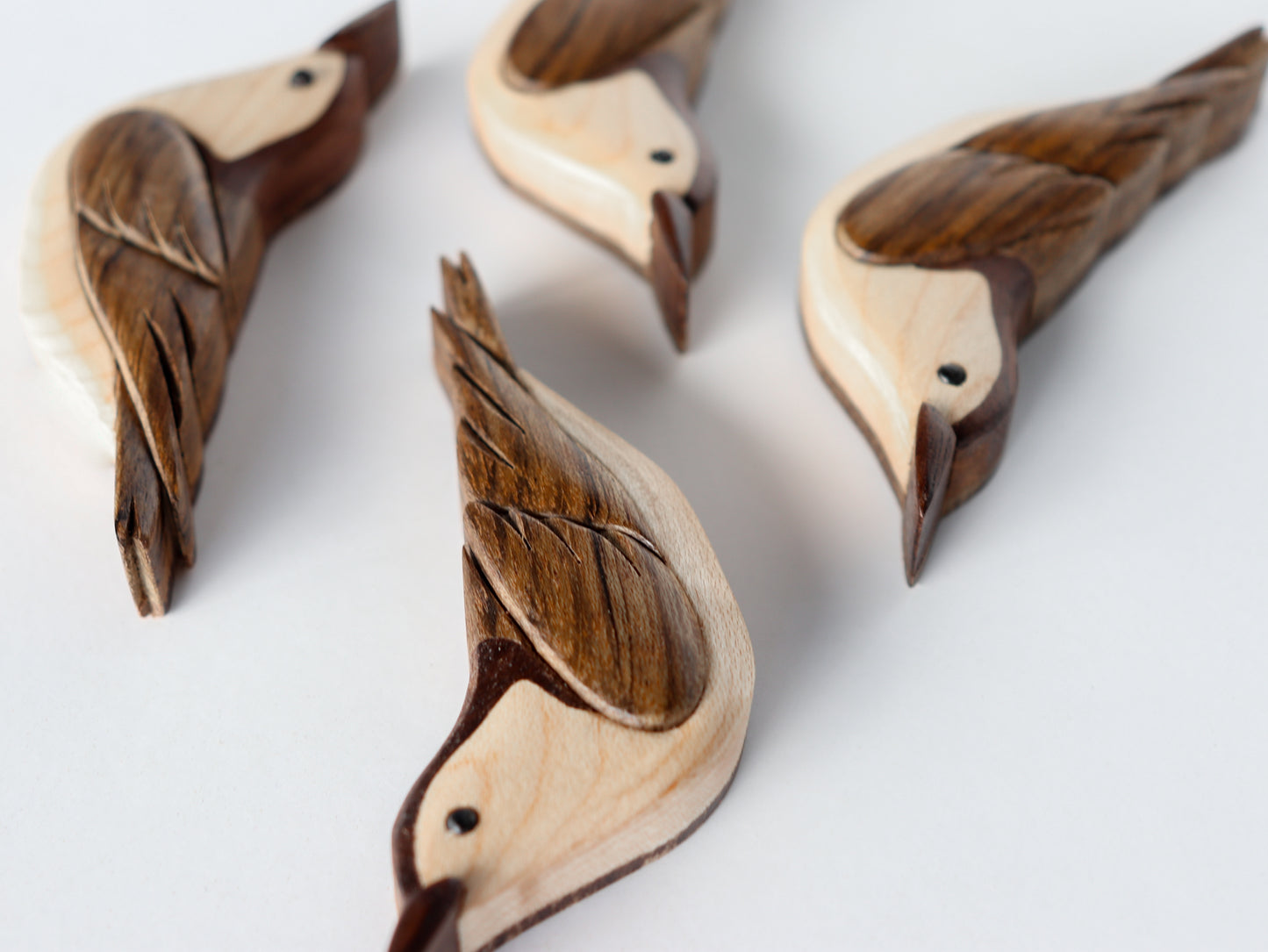 angled view of 4 nuthatches laying down on a white background showing the flat, one-sided aspect of the wood intarsia pieces of art.
