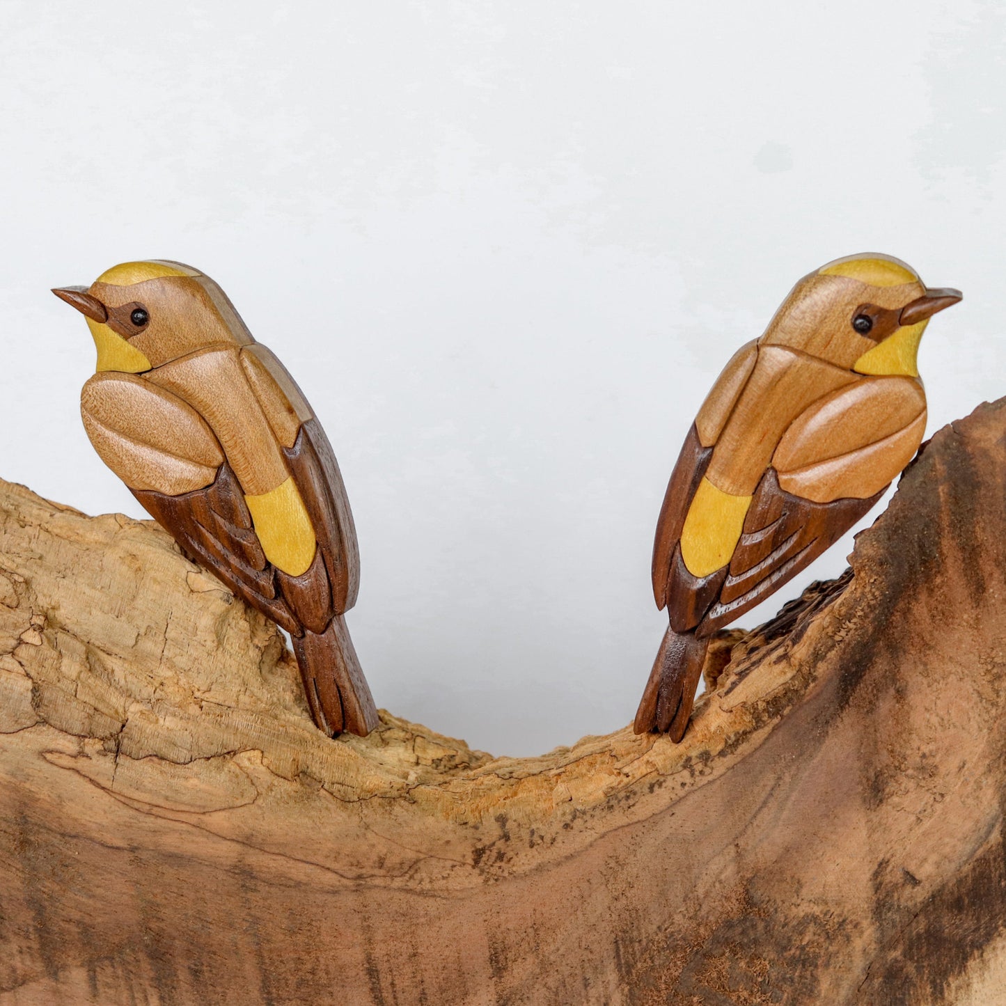 Yellow Rumped Warbler Bird Magnet / Ornament