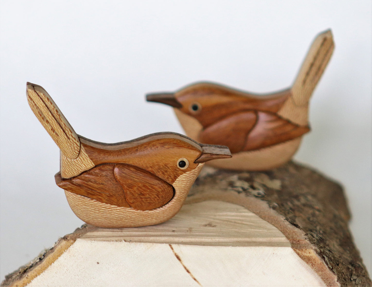 House Wren Songbird Magnet / Ornament