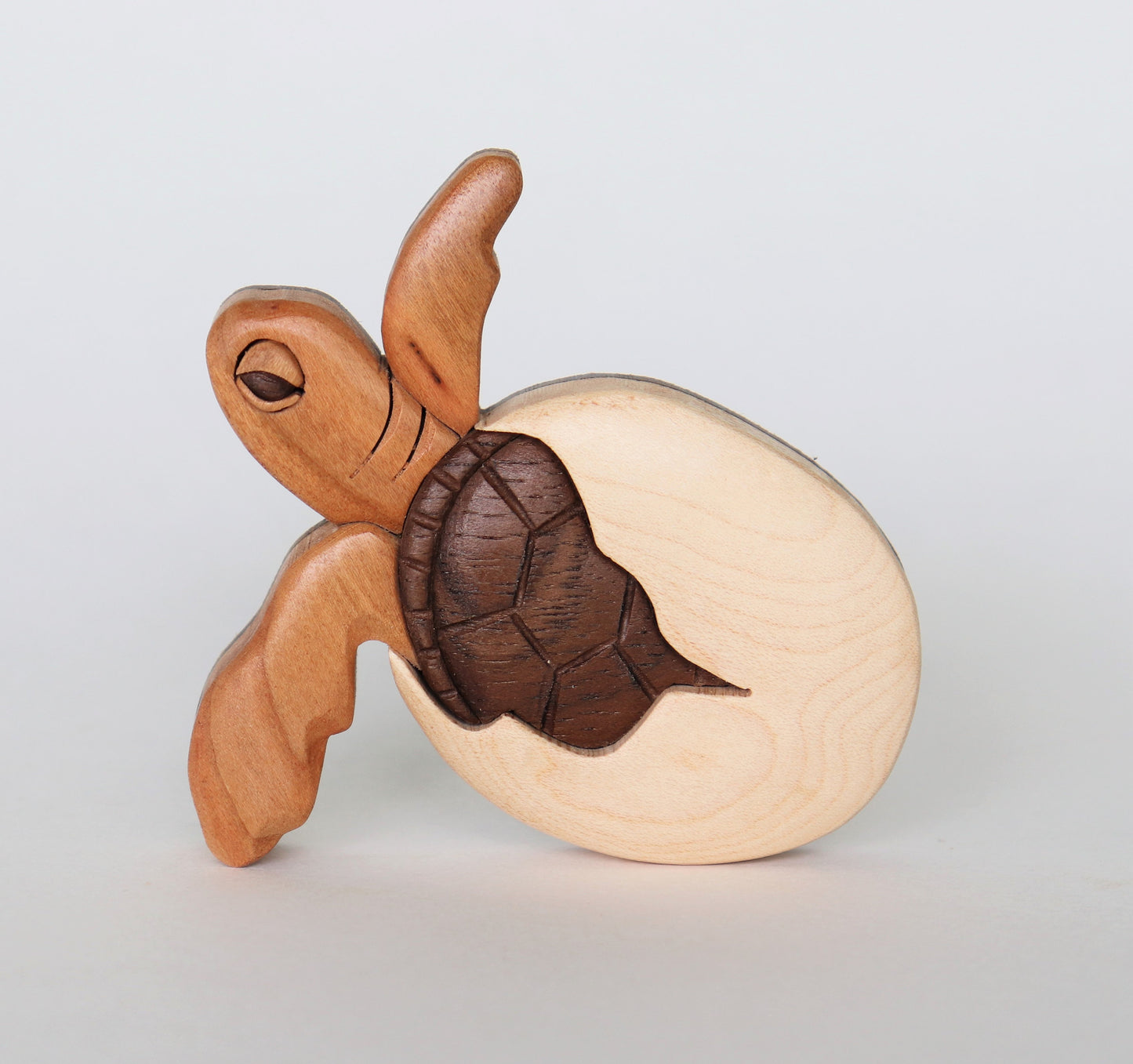 Sea Turtle Magnet / Ornament