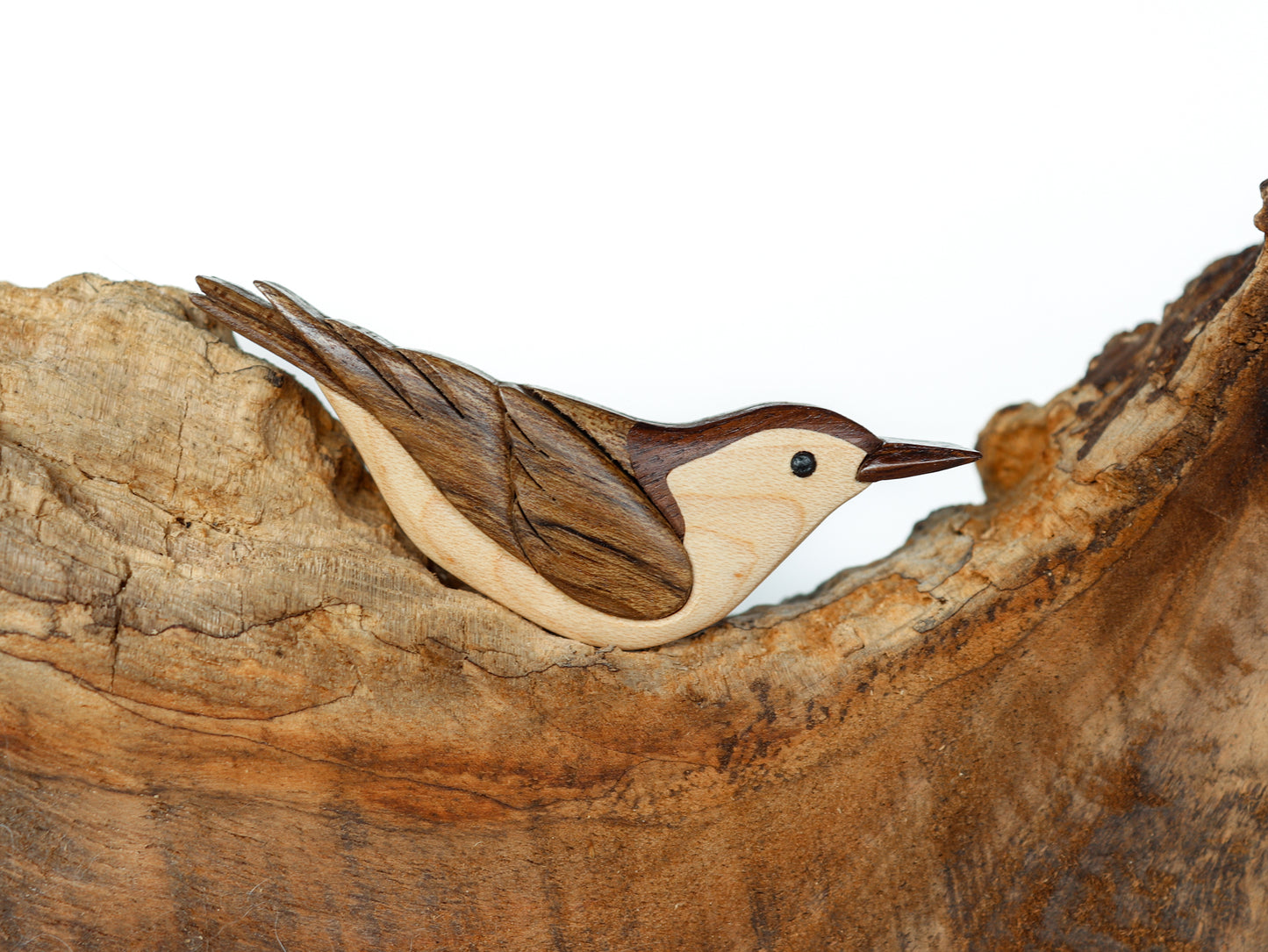 scroll saw cut nuthatch wood intarsia made with the natural colors of maple, walnut, and shedua, displayed on a branch and white backdrop.