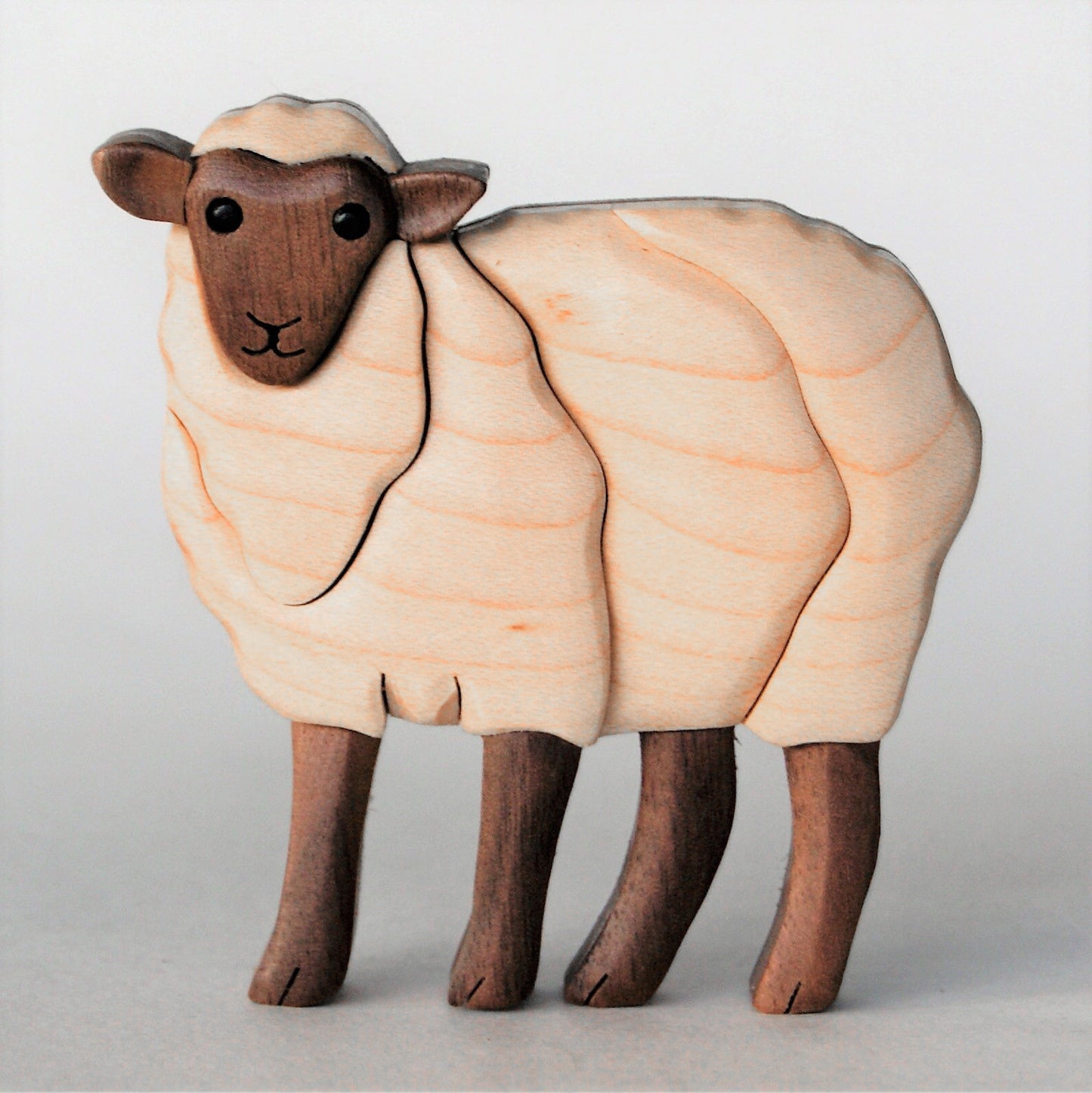 white sheep miniature intarsia made from maple, and black walnut face and legs, standing with a white background