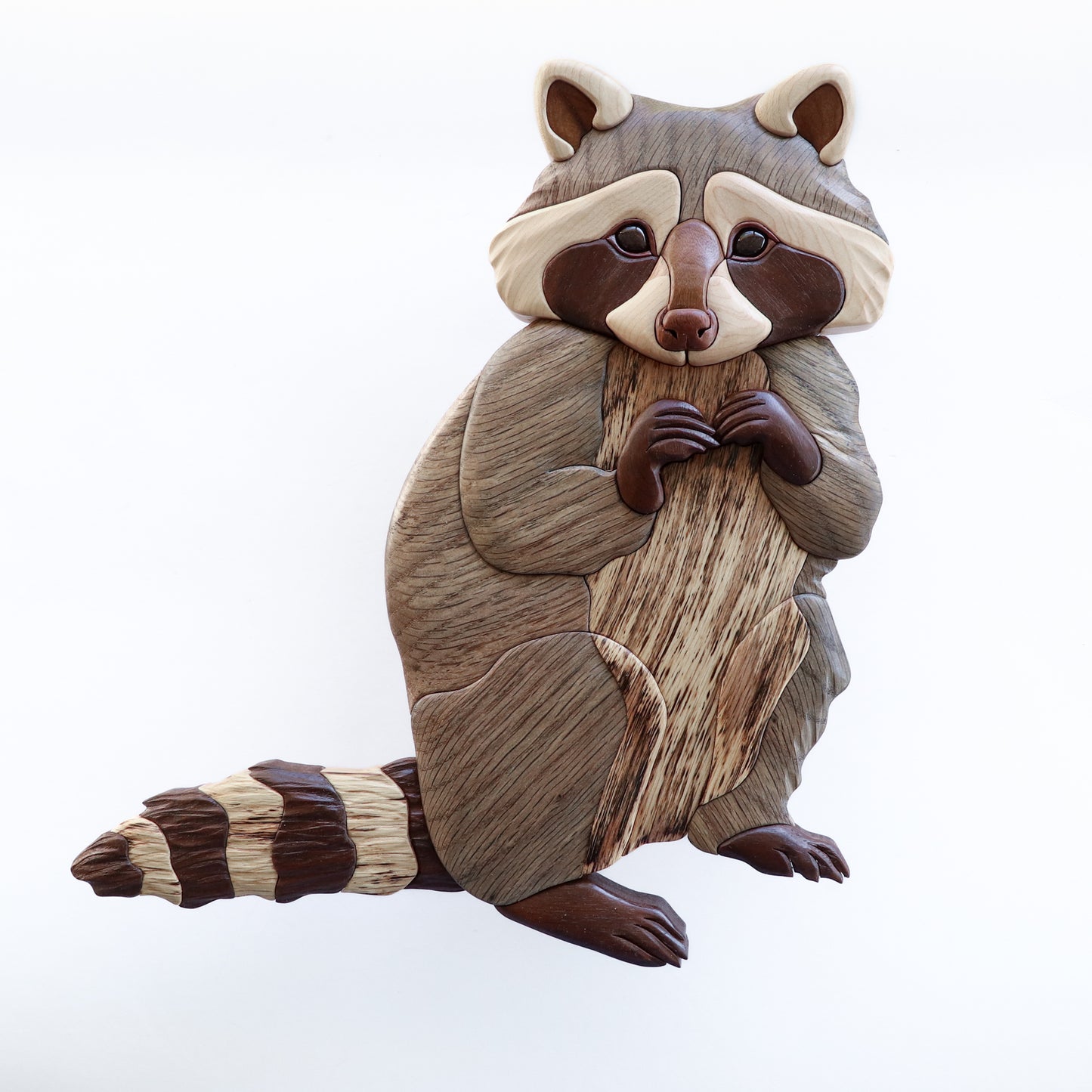 Raccoon Wall Hanging