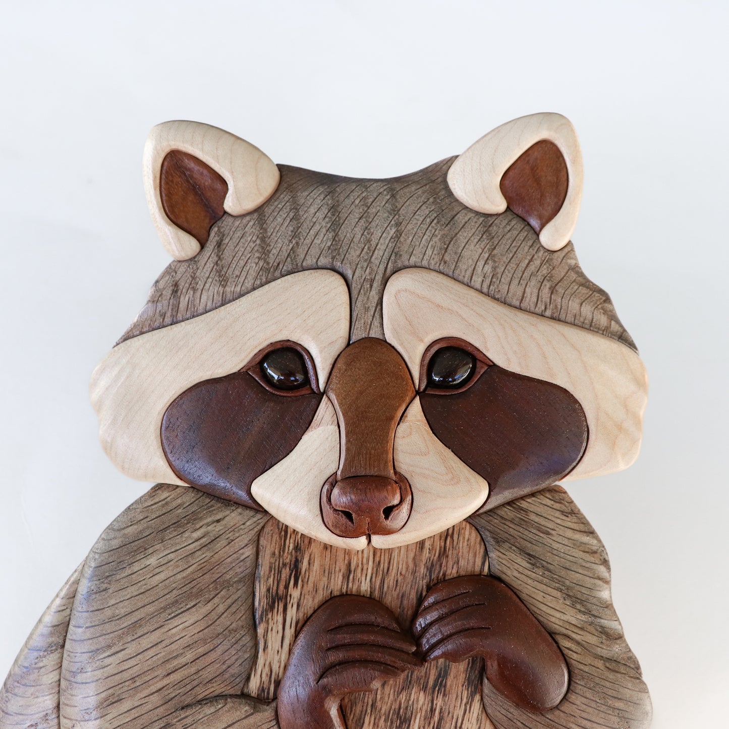 Raccoon Wall Hanging