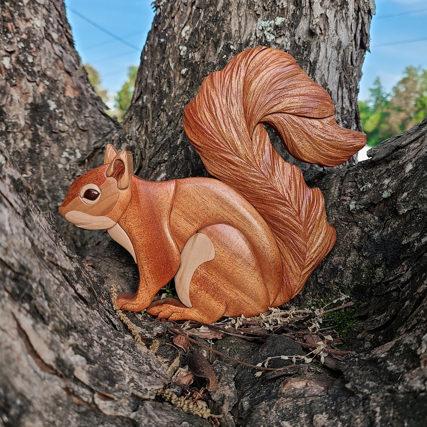 Squirrel Wall Hanging