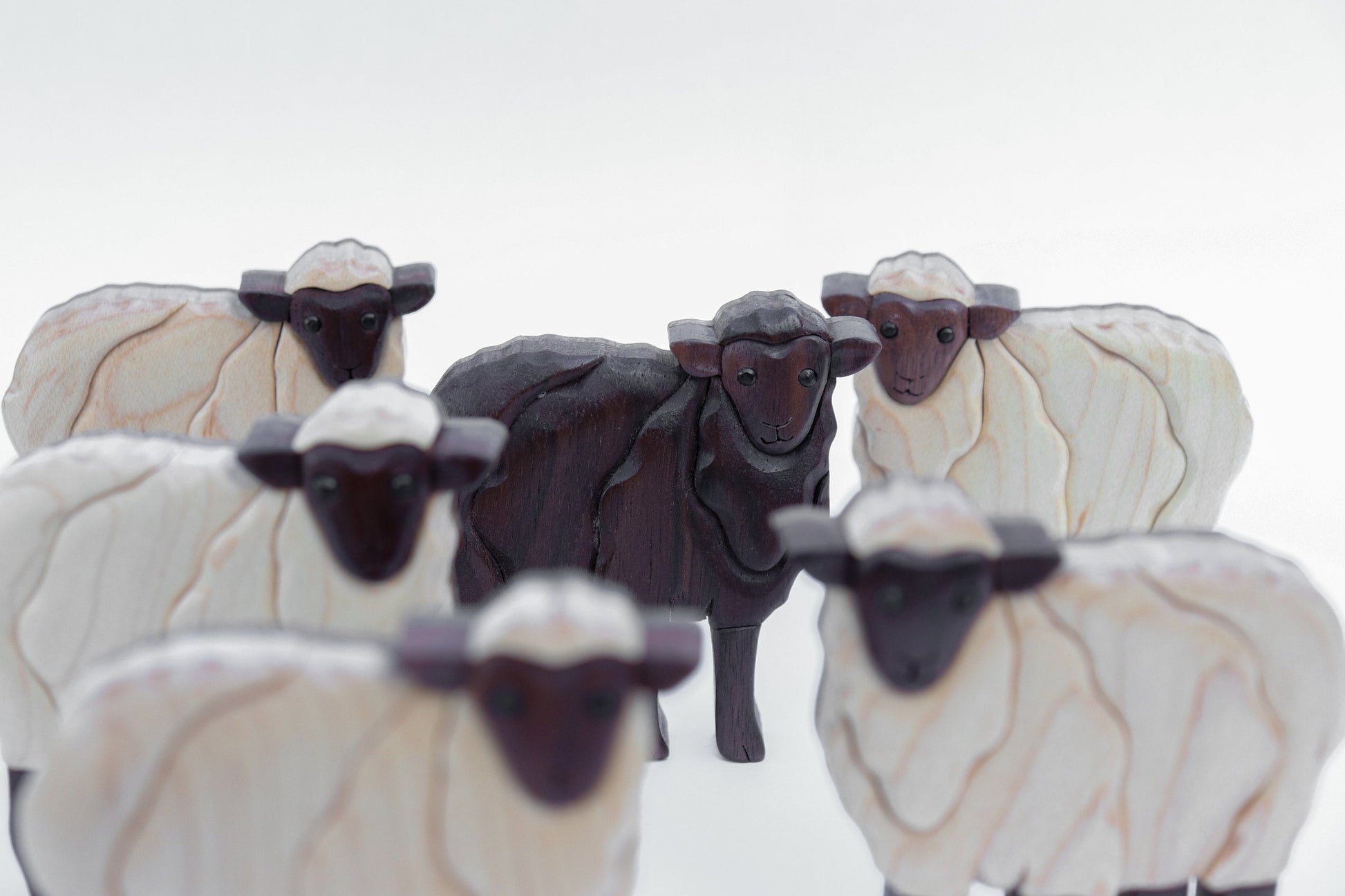 six wooden sheep intarsia, 5 of them white from maple, one black sheep made from peruvian walnut, standing with a white background where the one black sheep is in the center of all the white sheep.