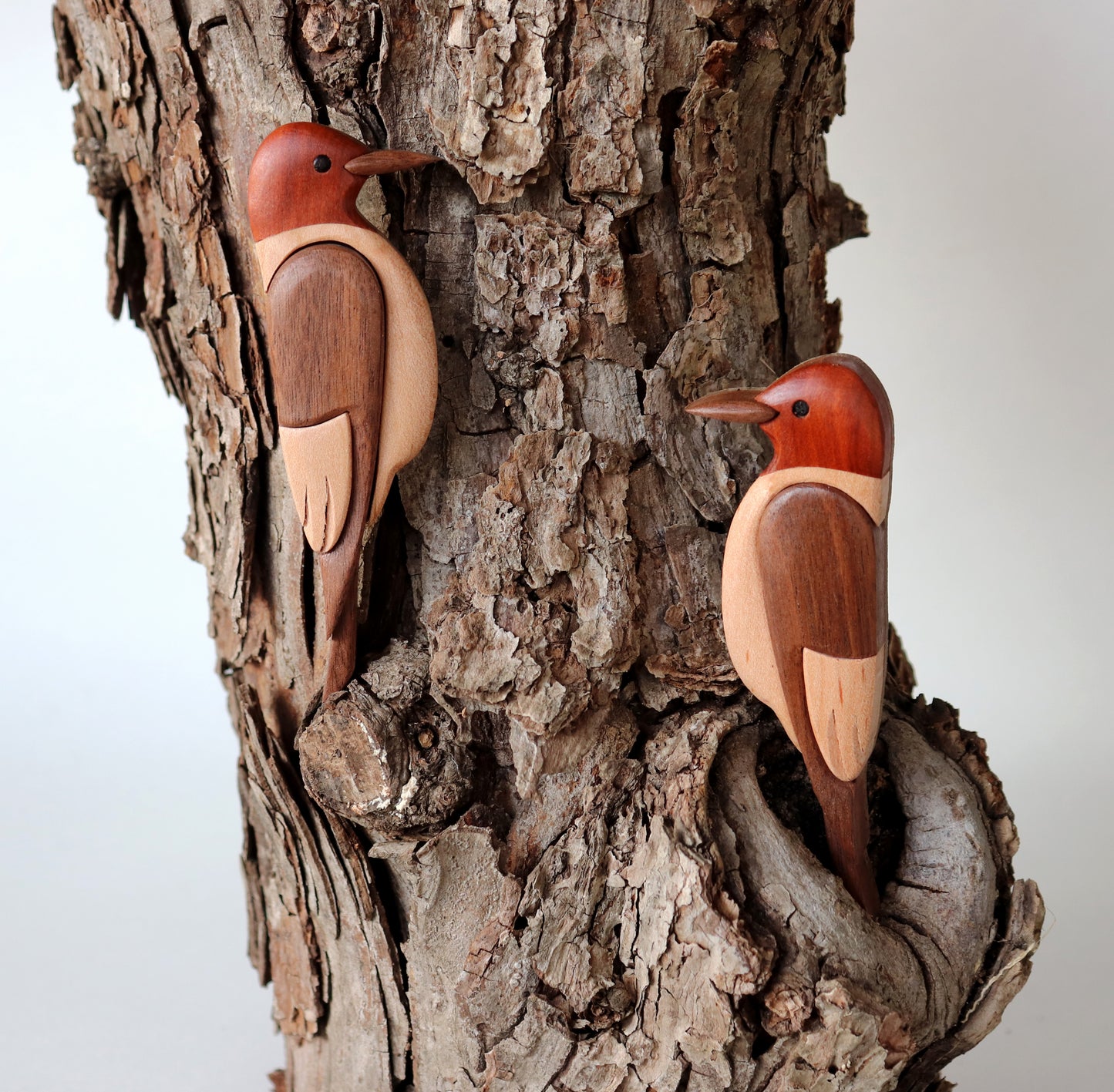 Red-Headed Woodpecker Bird Magnet / Ornament