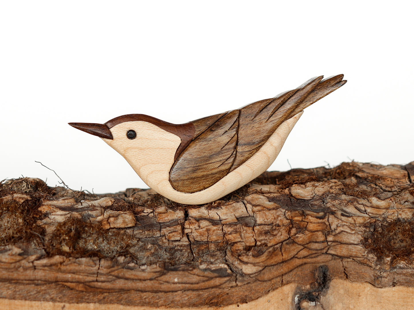 Wood intarsia of a nuthatch made from maple, walnut, and shedua, perched on top of a bark.