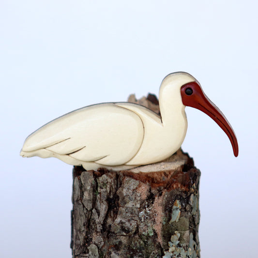 White Ibis  Bird Magnet / Ornament