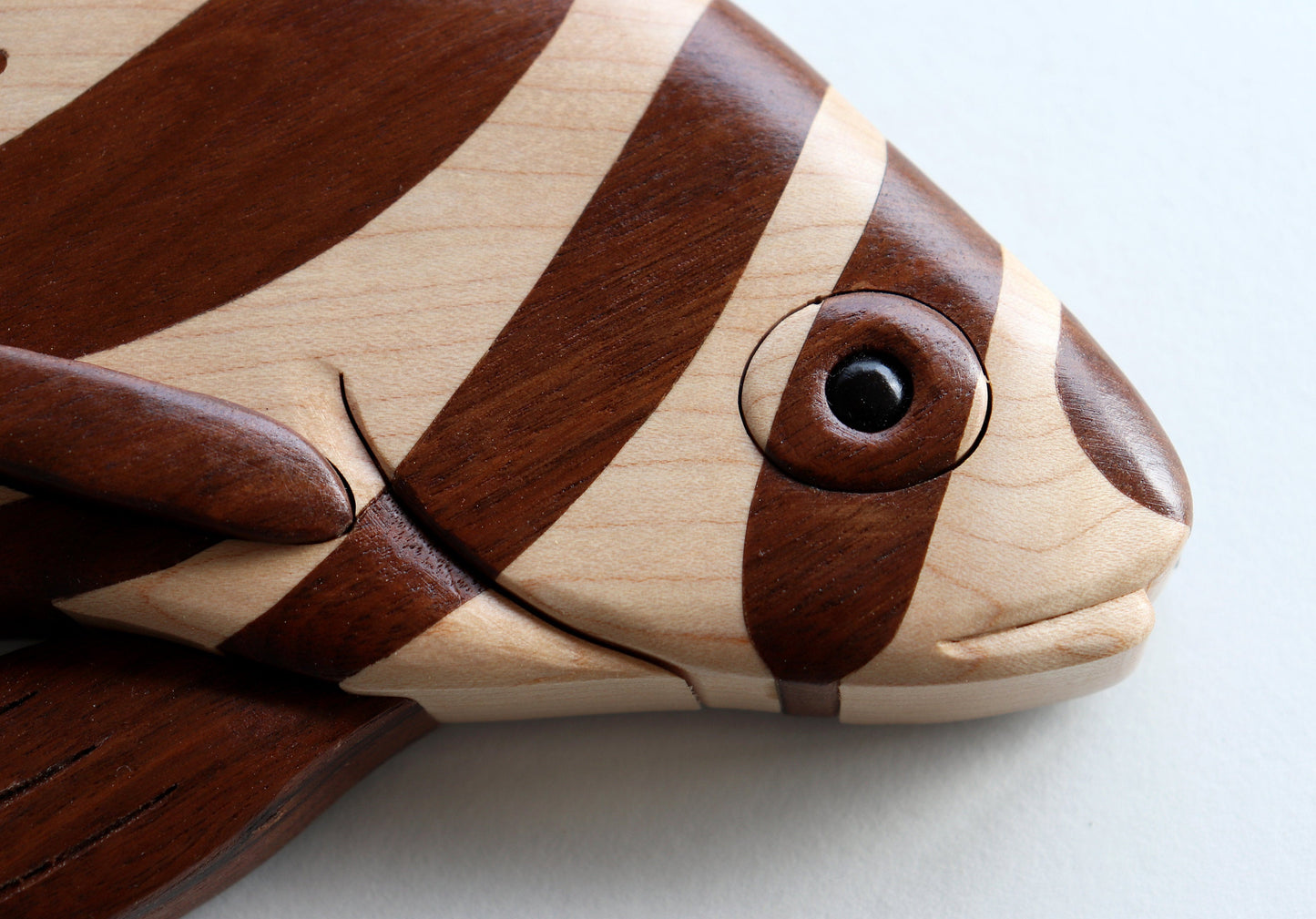 Spotted Drum Fish Wall Hanging