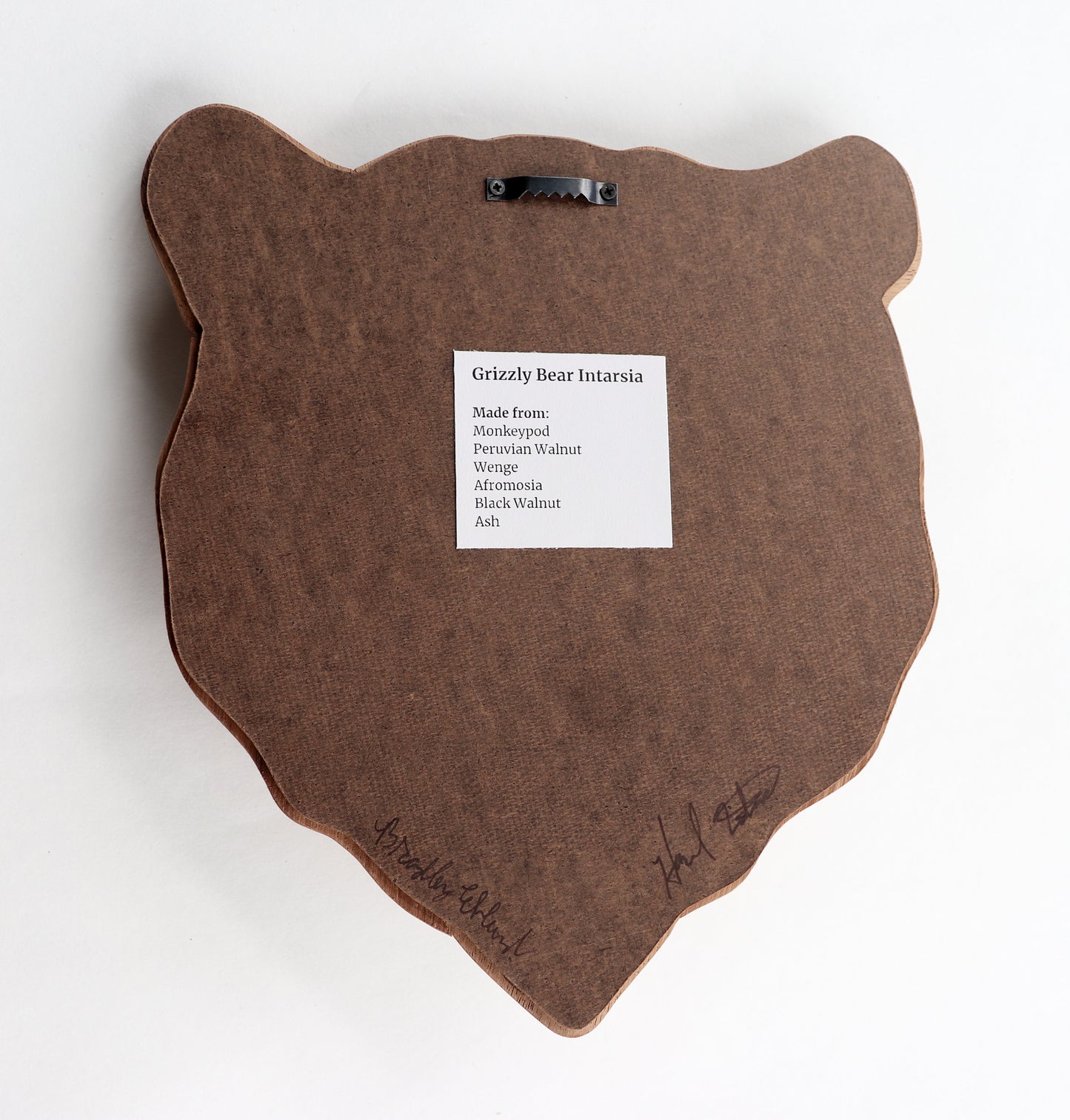 Grizzly Bear Head Wall Hanging