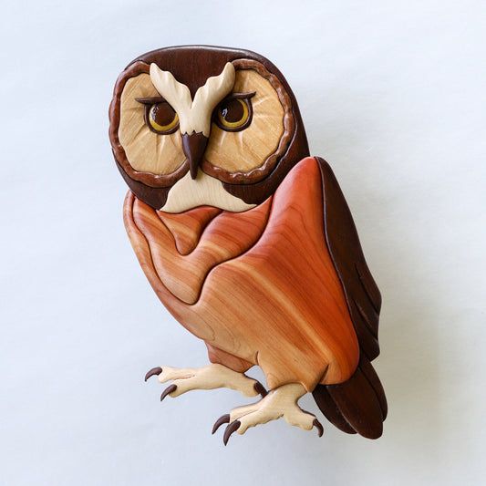 Saw-whet Owl Wall Hanging